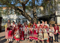 Гастроли Павушки